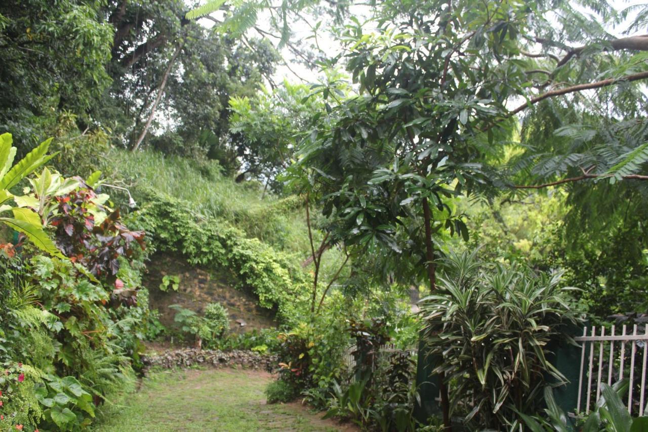 Lazy Bear Best Hostel In Kandy Exterior foto