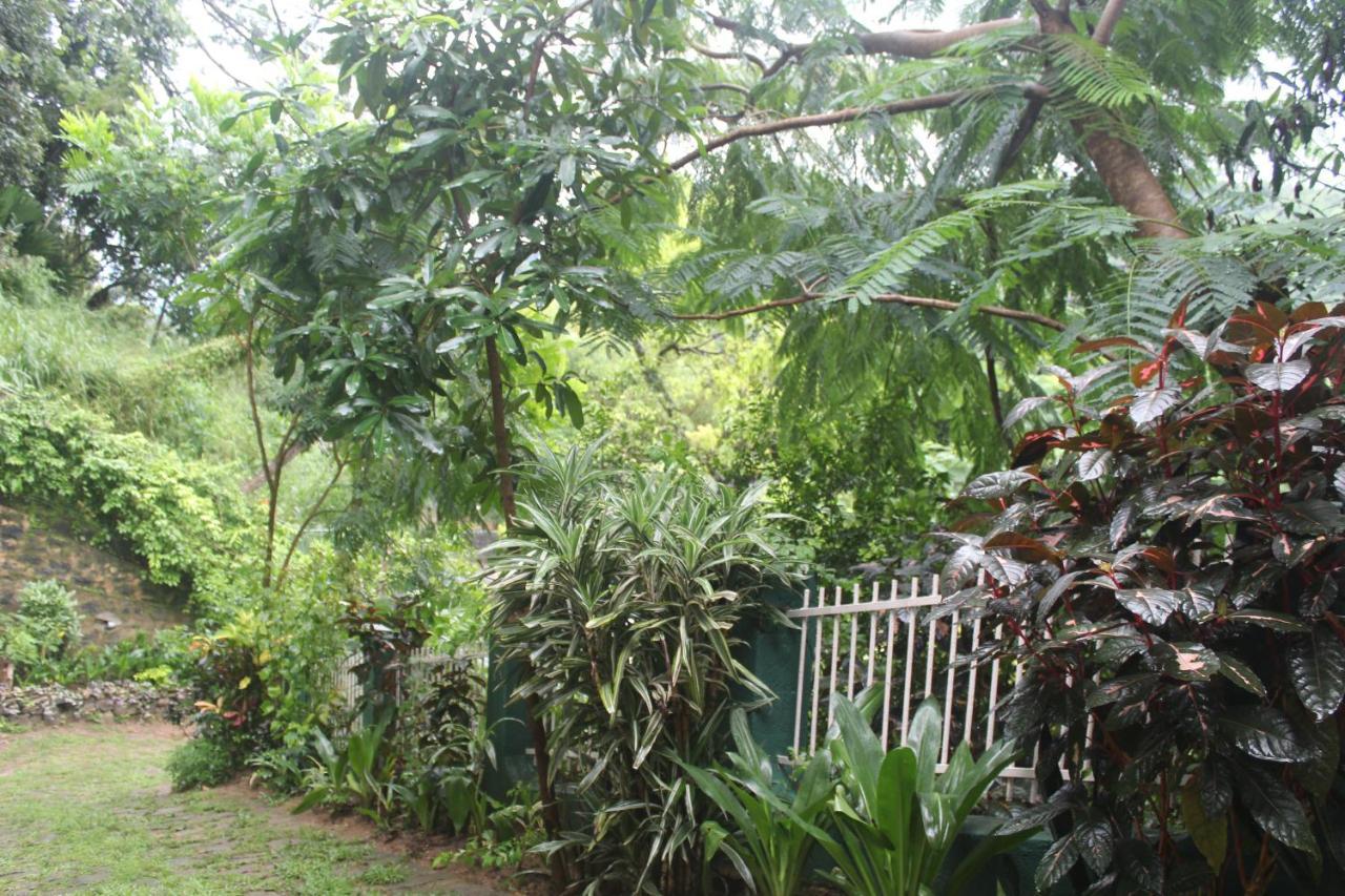 Lazy Bear Best Hostel In Kandy Exterior foto