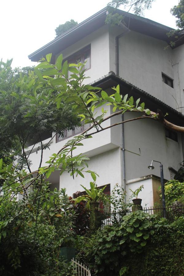 Lazy Bear Best Hostel In Kandy Exterior foto