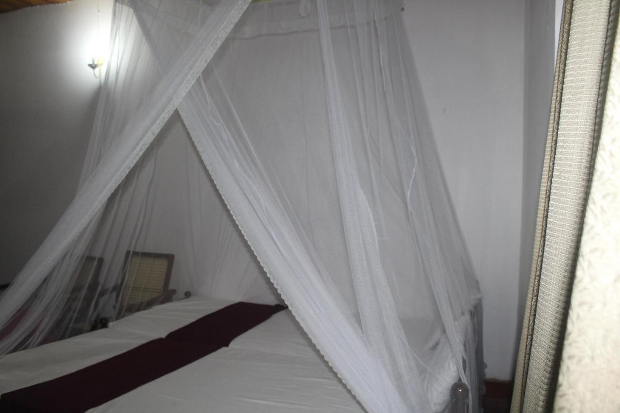 Lazy Bear Best Hostel In Kandy Exterior foto