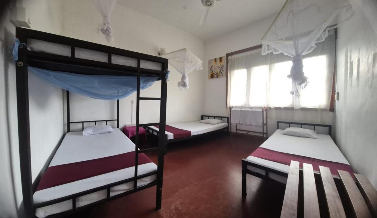 Lazy Bear Best Hostel In Kandy Exterior foto