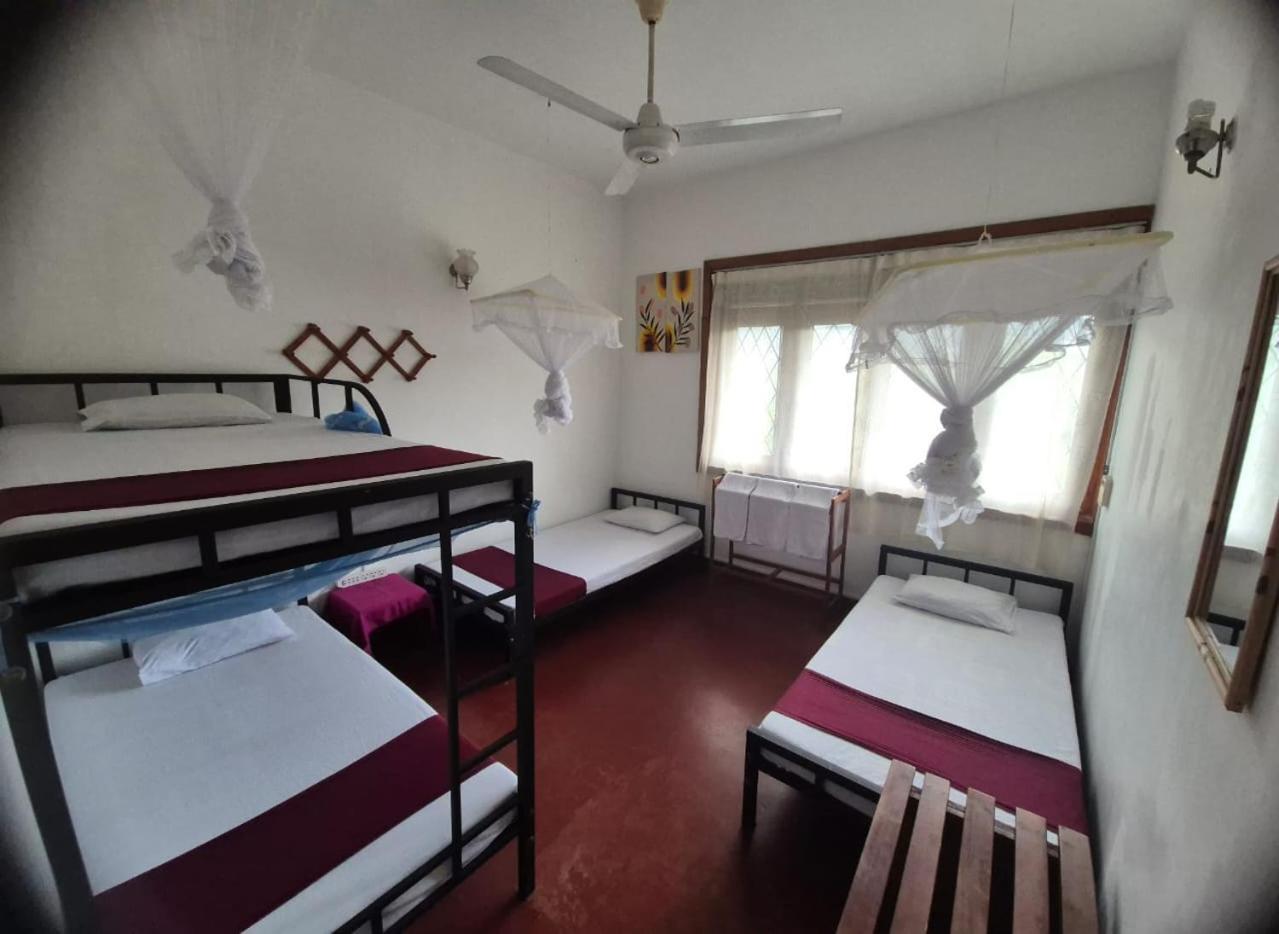 Lazy Bear Best Hostel In Kandy Exterior foto