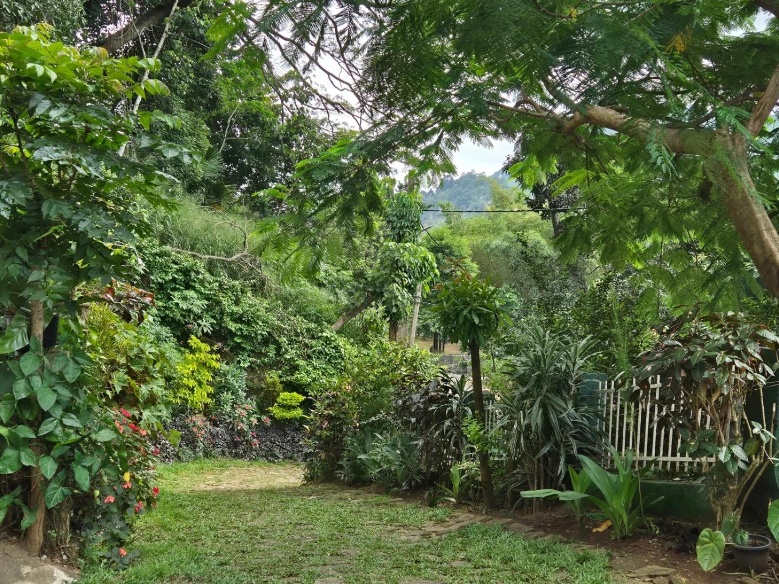 Lazy Bear Best Hostel In Kandy Exterior foto